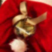 ヒメ日記 2024/12/17 08:38 投稿 マリア 石庭