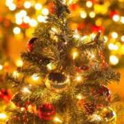 ヒメ日記 2024/12/17 09:01 投稿 マリア 石庭