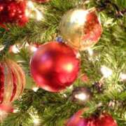 ヒメ日記 2024/12/17 11:34 投稿 マリア 石庭