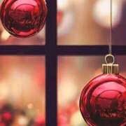 ヒメ日記 2024/12/17 16:42 投稿 マリア 石庭