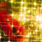 ヒメ日記 2024/12/19 08:18 投稿 マリア 石庭