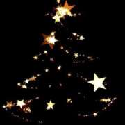 ヒメ日記 2024/12/21 08:44 投稿 マリア 石庭