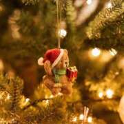 ヒメ日記 2024/12/23 16:33 投稿 マリア 石庭