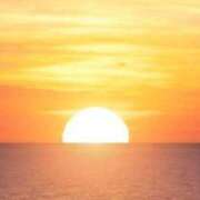 ヒメ日記 2025/01/04 09:23 投稿 マリア 石庭