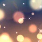 ヒメ日記 2025/01/11 08:47 投稿 マリア 石庭