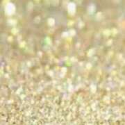 ヒメ日記 2025/02/11 12:13 投稿 マリア 石庭