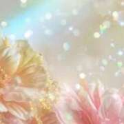 ヒメ日記 2025/02/15 09:34 投稿 マリア 石庭