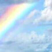 ヒメ日記 2025/04/21 17:20 投稿 マリア 石庭