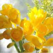 マリア こんばんは 石庭