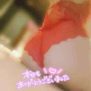 ヒメ日記 2025/12/23 16:46 投稿 りさ 激安ドットコム