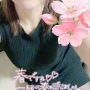 ヒメ日記 2025/03/28 20:29 投稿 らん 水戸人妻花壇