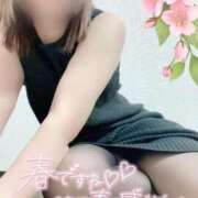 ヒメ日記 2025/03/29 14:23 投稿 らん 水戸人妻花壇