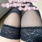 ヒメ日記 2025/03/31 17:24 投稿 らん 水戸人妻花壇