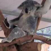 ヒメ日記 2025/10/09 23:17 投稿 ふうかさん いけない奥さん 十三店