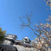 ヒメ日記 2025/02/12 06:18 投稿 ももかさん いけない奥さん 十三店