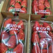 ヒメ日記 2025/02/12 14:18 投稿 ももかさん いけない奥さん 十三店