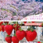 ヒメ日記 2025/03/03 09:28 投稿 ももかさん いけない奥さん 十三店