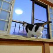 ヒメ日記 2025/03/14 22:38 投稿 ももかさん いけない奥さん 十三店