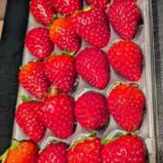 ヒメ日記 2025/03/30 18:35 投稿 ももかさん いけない奥さん 十三店