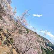 ヒメ日記 2025/04/07 17:48 投稿 ももかさん いけない奥さん 十三店