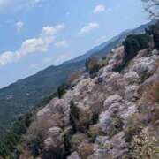 ヒメ日記 2025/04/08 13:28 投稿 ももかさん いけない奥さん 十三店