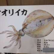 ヒメ日記 2025/06/13 10:10 投稿 ももかさん いけない奥さん 十三店