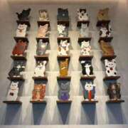 ヒメ日記 2025/06/13 19:11 投稿 ももかさん いけない奥さん 十三店