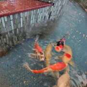 ヒメ日記 2025/10/17 17:25 投稿 ももかさん いけない奥さん 十三店