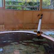 ヒメ日記 2025/11/14 09:02 投稿 ももかさん いけない奥さん 十三店