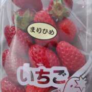 ヒメ日記 2026/03/28 09:18 投稿 ももかさん いけない奥さん 十三店