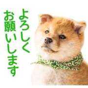 ヒメ日記 2026/04/01 10:25 投稿 ももかさん いけない奥さん 十三店