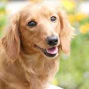 ヒメ日記 2026/06/27 15:58 投稿 ももかさん いけない奥さん 十三店