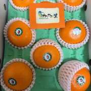 ヒメ日記 2025/03/30 12:58 投稿 ことさん いけない奥さん 十三店