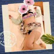 ヒメ日記 2025/05/13 12:22 投稿 ことさん いけない奥さん 十三店