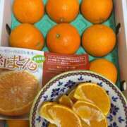 ヒメ日記 2025/12/10 09:48 投稿 ことさん いけない奥さん 十三店