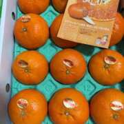 ヒメ日記 2026/02/09 10:28 投稿 ことさん いけない奥さん 十三店