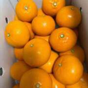 ヒメ日記 2026/03/05 10:13 投稿 ことさん いけない奥さん 十三店