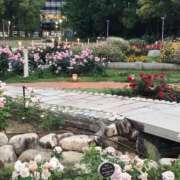 ヒメ日記 2025/05/17 16:01 投稿 じゅんこさん いけない奥さん 十三店