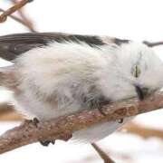 ヒメ日記 2025/08/30 02:38 投稿 ひよりさん いけない奥さん 十三店