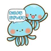 ヒメ日記 2025/12/14 06:58 投稿 ひよりさん いけない奥さん 十三店