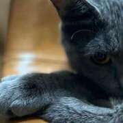 ヒメ日記 2025/08/18 08:28 投稿 みひろさん いけない奥さん 十三店