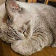 ヒメ日記 2025/07/12 16:40 投稿 こいこさん いけない奥さん 十三店