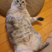 ヒメ日記 2025/08/22 17:58 投稿 こいこさん いけない奥さん 十三店