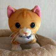 ヒメ日記 2025/03/05 09:38 投稿 えまさん いけない奥さん 十三店