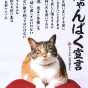 えまさん にゃんにゃんにゃん🐱 いけない奥さん 十三店