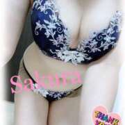 ヒメ日記 2024/12/12 01:08 投稿 さくらさん いけない奥さん 十三店