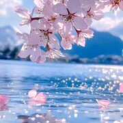 ヒメ日記 2025/04/13 21:11 投稿 さくらさん いけない奥さん 十三店