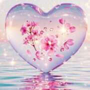 ヒメ日記 2025/04/17 16:18 投稿 さくらさん いけない奥さん 十三店