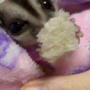 ヒメ日記 2025/04/06 15:56 投稿 ちかさん いけない奥さん 十三店