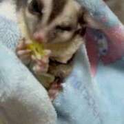 ヒメ日記 2025/05/01 14:30 投稿 ちかさん いけない奥さん 十三店